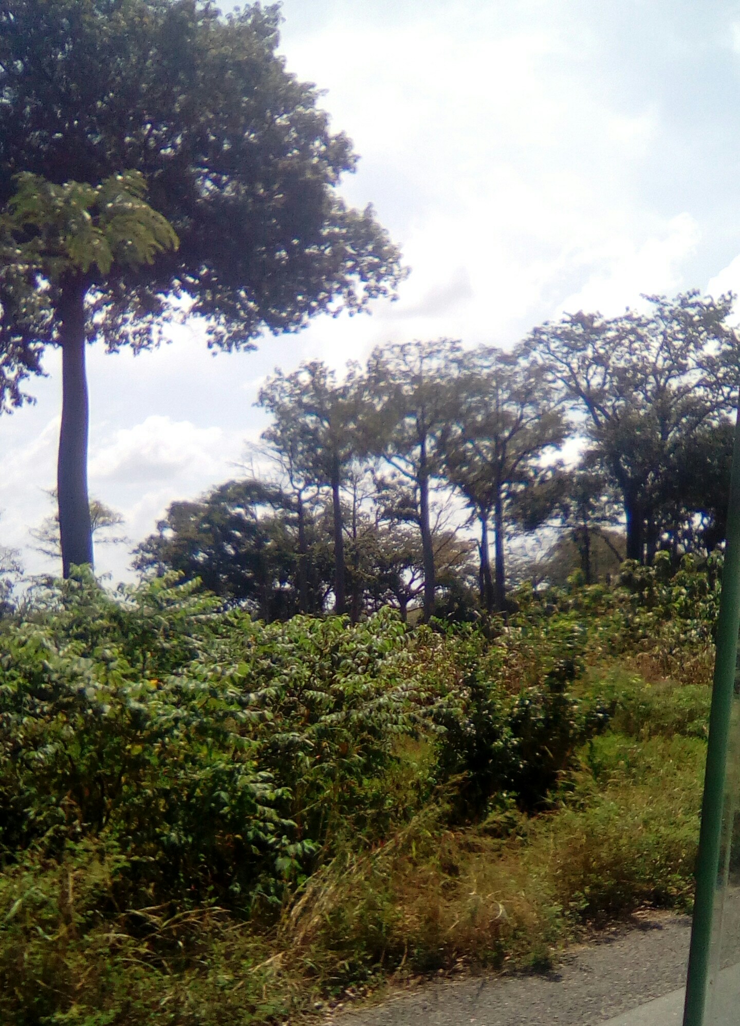 Foret prefecture Haho Togo lutte desertification Fonds vert