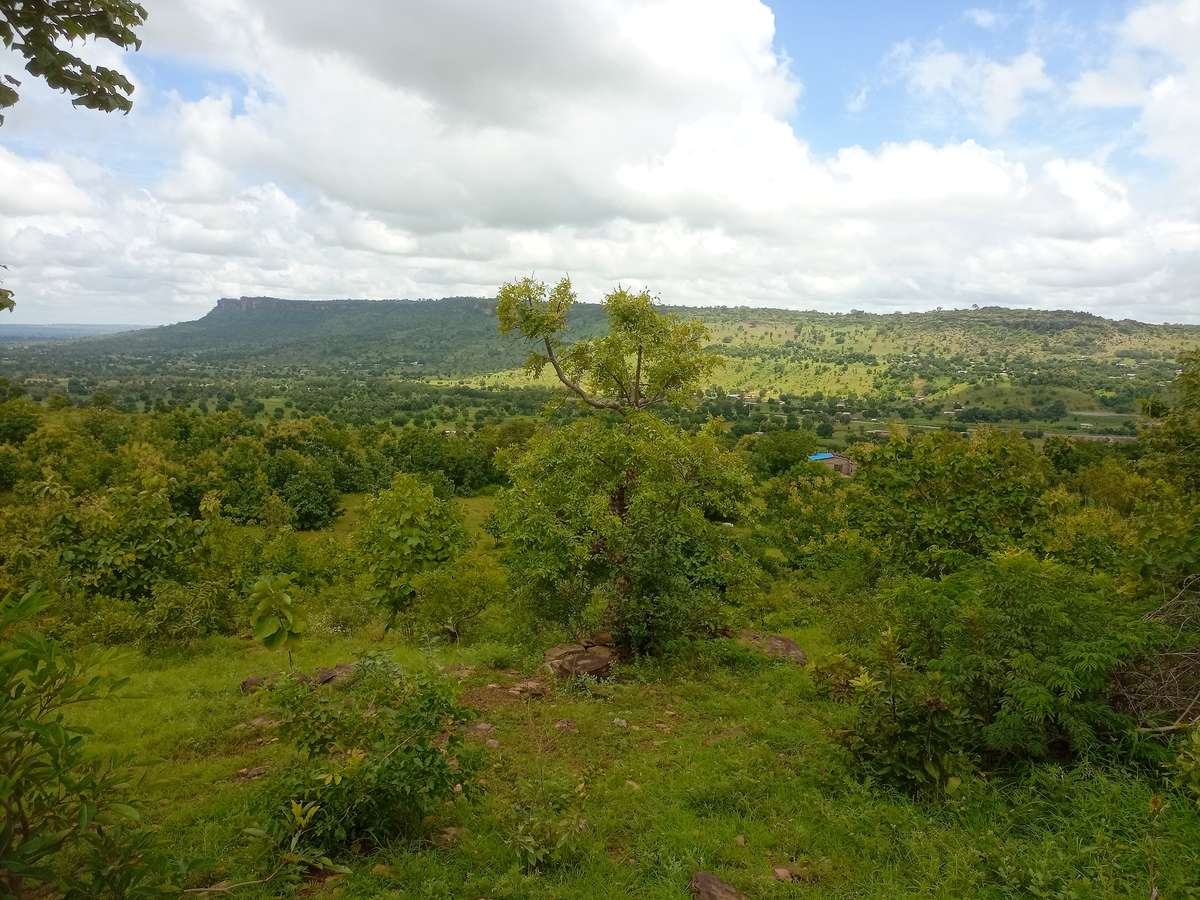 Paysage de savane au Togo : terres rurales relevant du domaine foncier national visé par la régularisation foncière