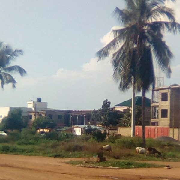 Valeur vénale terrain Togo : terrain nu entouré de maisons à Avedji, Lomé