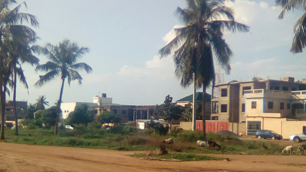Valeur vénale terrain Togo : terrain nu entouré de maisons à Avedji, Lomé